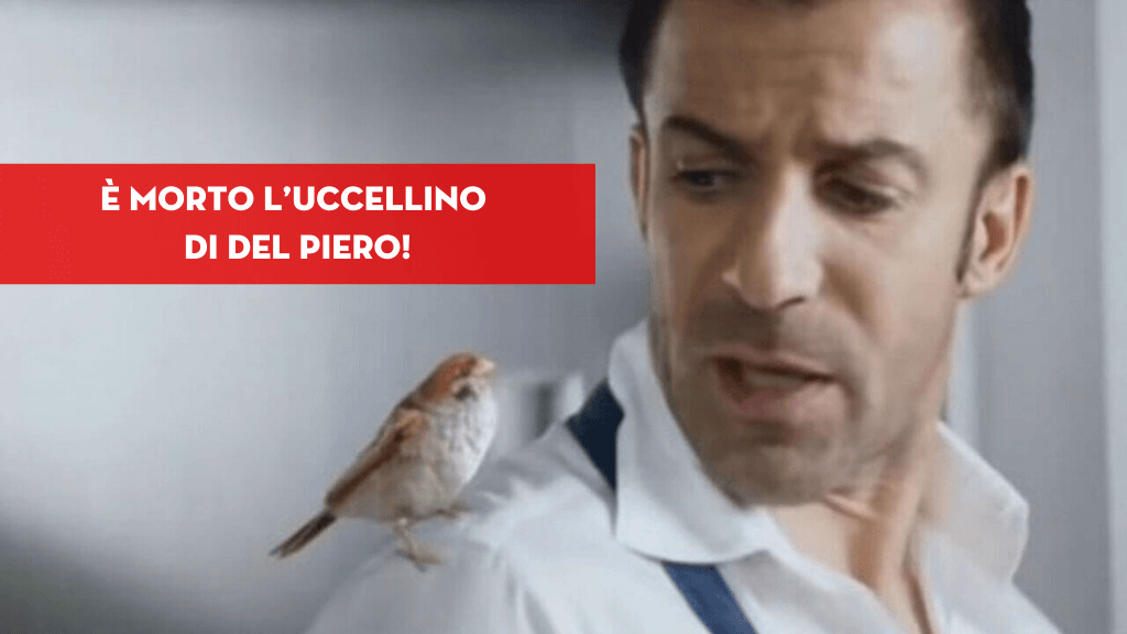 Al momento stai visualizzando È morto l’uccellino di Del Piero!