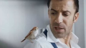 È morto l’uccellino di Del Piero!